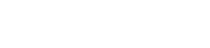 Active Denmark Organisation